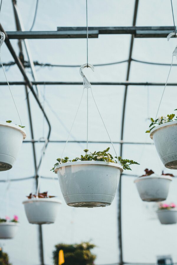 Hanging Plastic Pot