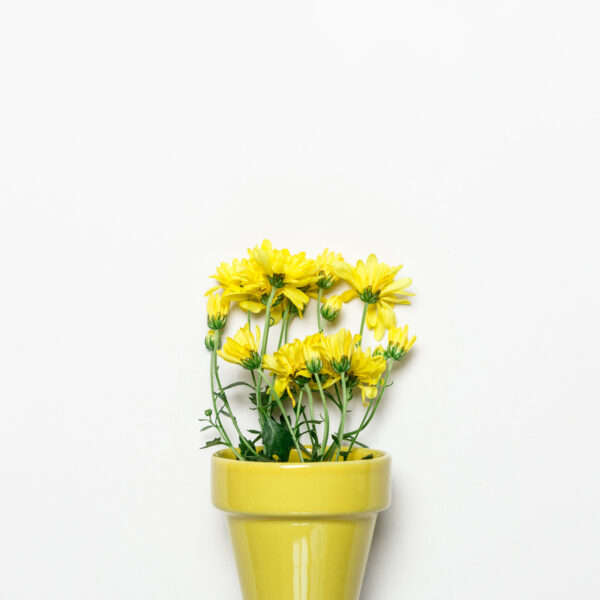 Yellow Painted Ceramic Pot